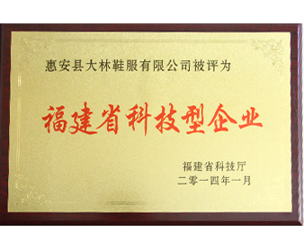 Science and technology enterprises in fujian province 